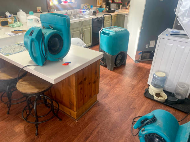 Best 24-hour water damage restoration  in Shell Point, SC