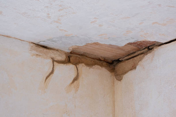 Best Water damage restoration services  in Shell Point, SC