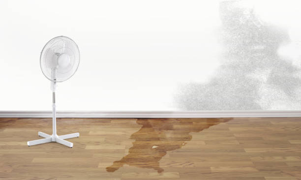 Best Flood damage cleanup  in Shell Point, SC