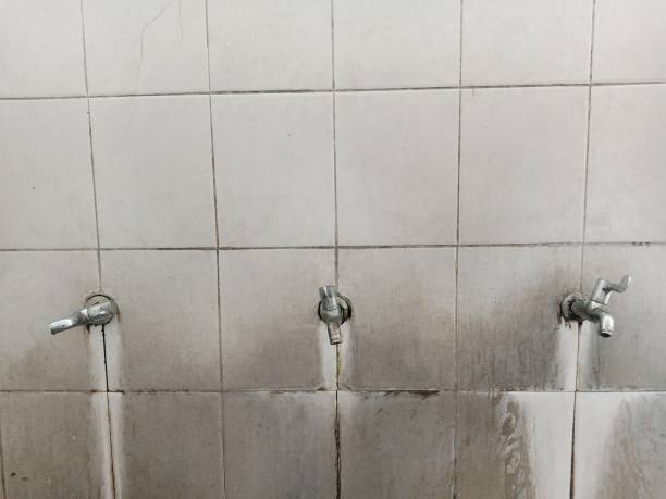 Best Water damage contractors near me  in Shell Point, SC
