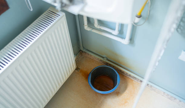 Best Water damage cleanup near me  in Shell Point, SC