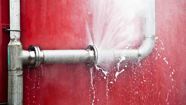 Best Local water damage restoration  in Shell Point, SC
