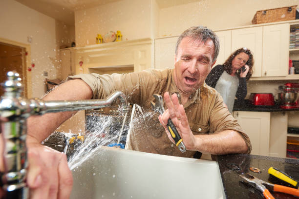 Best Commercial water damage restoration  in Shell Point, SC